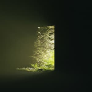 Album: Come Up Here
