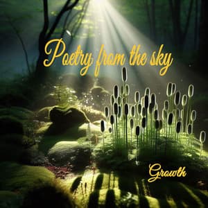 Single: Poetry from the sky