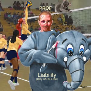 Album: Liability