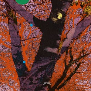 Single: Don't Lose A Good Thing