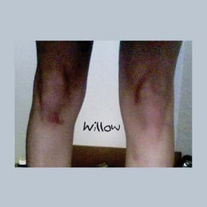 Album: Willow