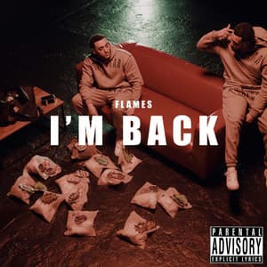 Single: I'm Back