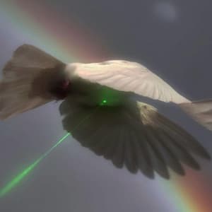 Single: Starting Over