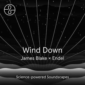 Album: Wind Down