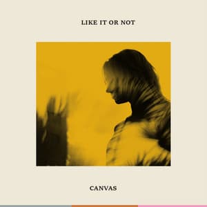 Single: Like It Or Not