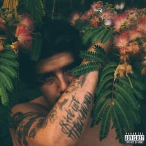 Album: Tried & Truth