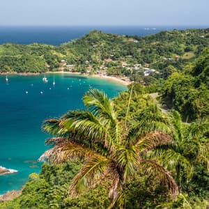 Single: Trinidad