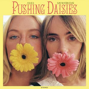 Single: Pushing Daisies