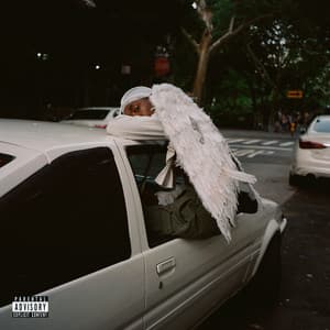Album: Negro Swan