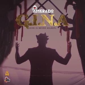 Album: G.I.N.A