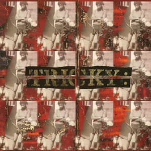 Album: Maxinquaye (Reincarnated)