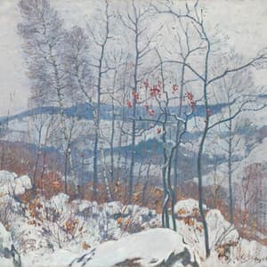 Album: Neve
