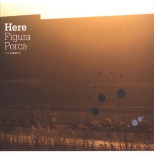 Album: Figura Porca