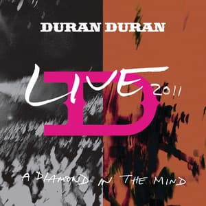Album: A Diamond In The Mind (Live At The MEN Arena,Manchester, England / 2011)