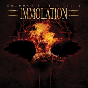 Album: Shadows in the Light