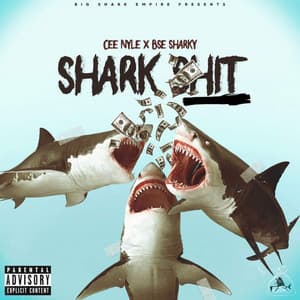 Single: Shark Shit