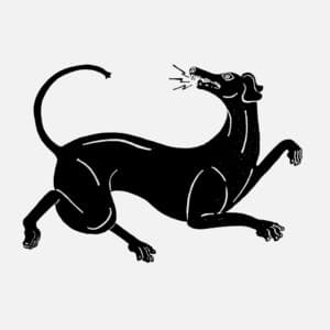 Single: BLACK DOG / WHITE HORSE