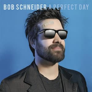 Album: A Perfect Day