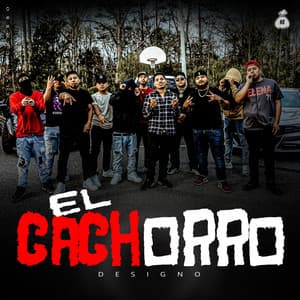 Single: El Cachorro