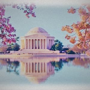 Album: Vignette