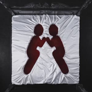 Single: I Bring My Gun To The Function (with Boys Noize)