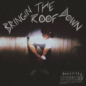 Single: Bringin The Roof Down