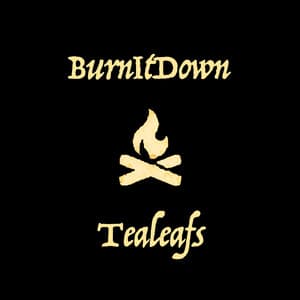 Single: Burn It Down