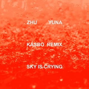 Single: Sky Is Crying (Kasbo Remix)