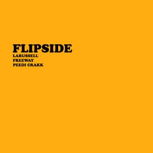 Single: FLIPSIDE (Remix)