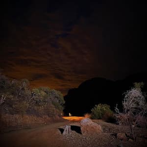 Single: A Dozen Roses