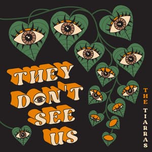 Single: They Don't See Us