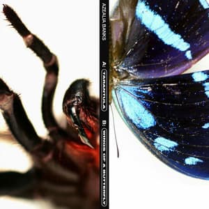 Single: Tarantula