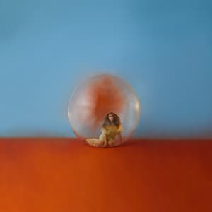 Album: In The Meantime