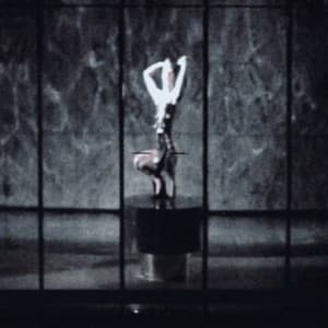 Single: Cayó