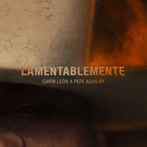 Single: Lamentablemente