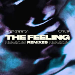 Single: The Feeling (Remixes)
