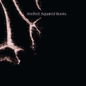 Album: Squared Roots