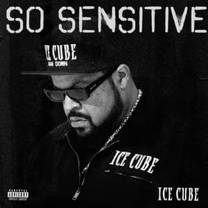 Single: So Sensitive