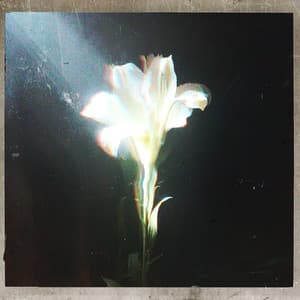 Single: Light That Leads Me (with Bebe Rexha)