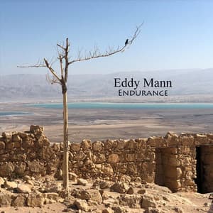 Album: Endurance