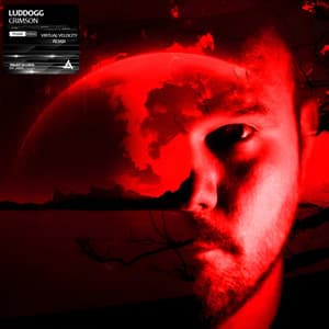 Single: Crimson (Virtual Velocity Remix)