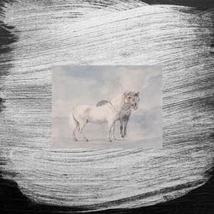 Single: An Alibi For Something Else