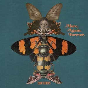 Album: More. Again. Forever.