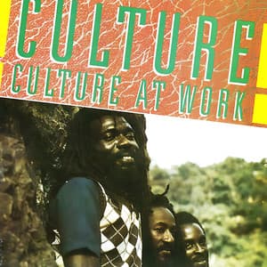 Album: Culture At Work