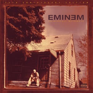 Album: The Marshall Mathers LP (25th Anniversary)