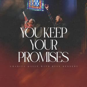 Single: You Keep Your Promises (Live)