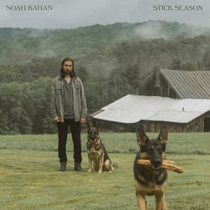 Album: Stick Season
