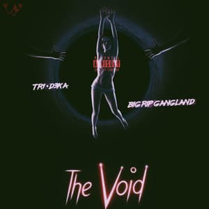 Single: The Void