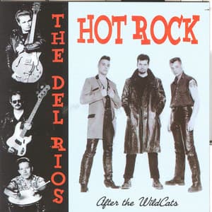 Album: After The Wildcats