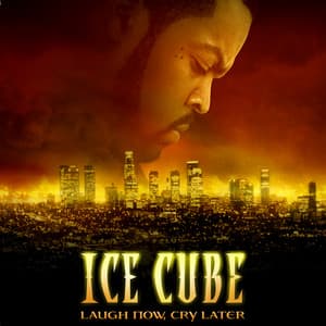 Album: Laugh Now, Cry Later